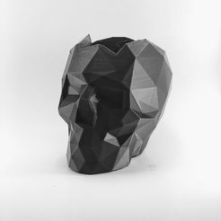 NDRE6198.JPG Fichier STL POT À CRÂNE POLYGONAL | MODÈLE 05・Design imprimable en 3D à télécharger