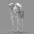 Detailed-Arabian-Camel-Saddled-Desert-Mount.82.jpg Detailed Arabian Camel - Saddled Desert Mount