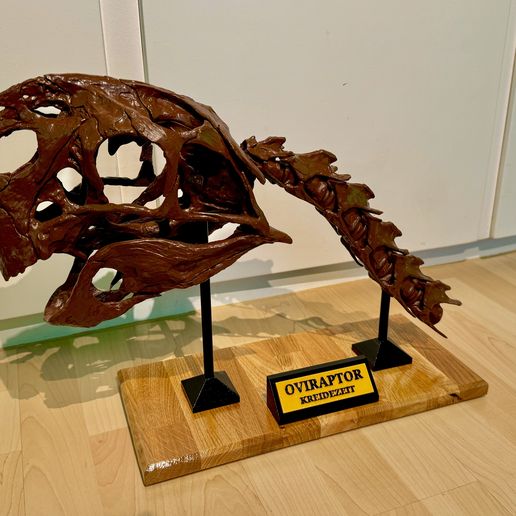 💀 Life size Citipati (Oviraptor) skull and cervical vertebrae・3D