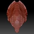 PREY-HELM4.jpg Preda predatore ferale testa e casco bio