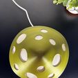 IMG_1805.jpg The Magic Mushroom Lamp!