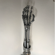 Screenshot-2022-01-21-152024.png Terminator Arm