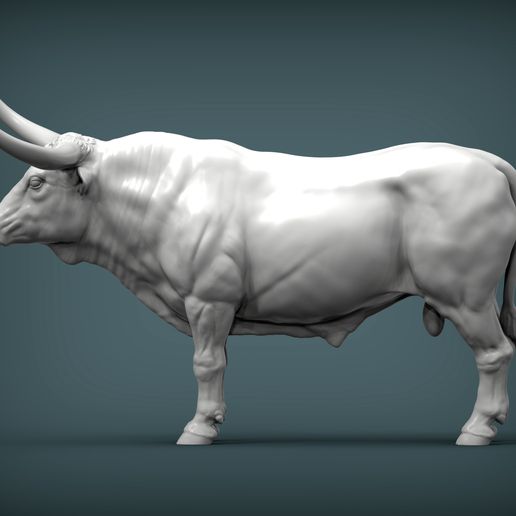 Texas-Longhorn2.jpg Texas Longhorn 3D-Druckmodell