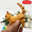 5.jpg Articulated Cat 3D