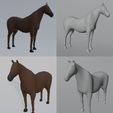 Sin-título.jpg Horse 3D Model