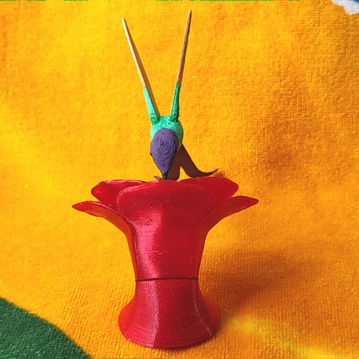 IMG_20240701_145537719.jpg Kolibri