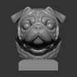 pug7.jpg Pug for 3D printing