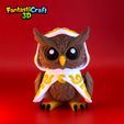 IMG_8039.jpeg FANTASTICRAFT3D - Mystic Owl flexi- Fantasy, Mystical, Wizard, D&D