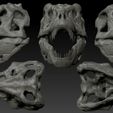 t_rex_skull_3d.jpg Tyrannosaurus Rex Skull