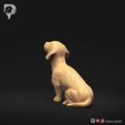 Dachshund-Miniature-Wire-Haired-Pose-05-Dog-3D-Print-6s.jpeg Dachshund Miniature Wire Haired Pose 05