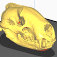 badger-skull.png Badger Skull