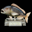Dentex-trophy-16.png fish Common dentex / dentex dentex trophy statue detailed texture for 3d printing