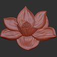 Magnolia1-1.jpg Magnolia - Mississippi symbol 3d relief .stl file