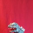 IMG_20221117_161525.jpg Millennium Godzilla Bust