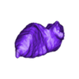 left_ventricle_obj.obj 3D Heart Model - generated from real patient