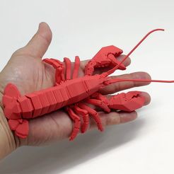 L001.jpg Fichier STL Homard de Boston・Design imprimable en 3D à télécharger