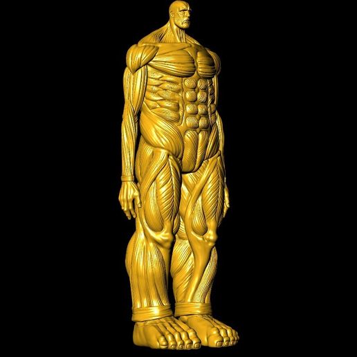 🫵 colossal titan・ STL File for 3D printing・Cults