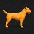 2214-Border_Terrier_Pose_01.jpg Border Terrier Dog 3D Print Model Pose 01