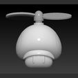 Slide2.jpg Propeller Mushroom Mario