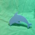IMG20241102164318.jpg Dolphin Tow Hitch Cover