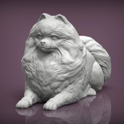 Pomeranian2.jpg 3D file Pomeranian 3D print model・Model to download and 3D print