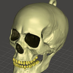 Foto-1.png Key ring skull