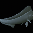 mahi-mahi-mouth-statue-46.png fish mahi mahi / common dolphin fish open mouth statue detailed texture for 3d printing