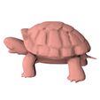 Turtle-low-poly0001.jpg Turtle low poly