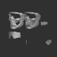 14.jpg 3D file Prot Mask Combo v-01 02・3D printable design to download