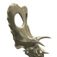 01.jpg Torosaurus skull in 3d