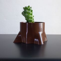 20240126_151414.jpg Trunk-shaped vase