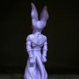Beerus-3.jpg Beerus (Easy print and Easy Assembly)