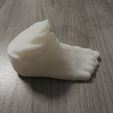 DSCN0506.JPG Free OBJ file Foot (Scan)・3D printable object to download