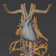 7.png 3D Model of Heart and Cardiovascular System