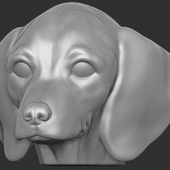 1.jpg STL-Datei Welpe von Dackel Hundekopf für 3D-Druck・Design für 3D-Drucker zum herunterladen