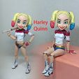 000.jpg Harley Quinn articulated action figure Chibi version