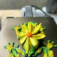424491933_966278311520420_1002325190150226895_n.jpg Flexi Articulated Flower Frog No support