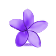 euroreprap_flower-plumeria_a.stl STL file flowers: Plumeria - 3D printable model・3D printing model to download