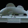 zander-statue-4-mouth-open-43.png fish zander / pikeperch / Sander lucioperca open mouth statue detailed texture for 3d printing