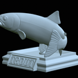Rainbow-trout-trophy-open-mouth-1-39.png fish rainbow trout / Oncorhynchus mykiss trophy statue detailed texture for 3d printing