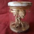 IMG_20220220_170332.jpg Alien skeleton, skeleton in the jar