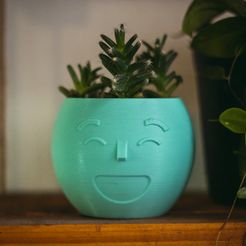 Dimension-Abril-21.jpg Fichier STL Pot de fleurs souriant "M・Idée pour impression 3D à télécharger