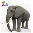 Elefante-Africano.jpg African Elephant