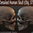 Highly-Detailed-Human-Skull-002.jpg Highly Detailed Human Skull