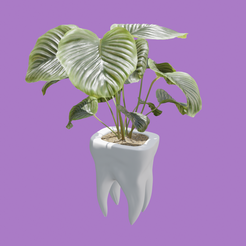 tooth-pot.png STL file Tooth Pot・3D printable model to download