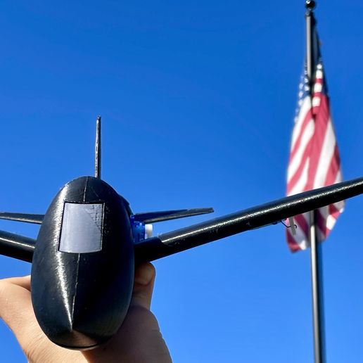 Skype_Picture_2024_11_25T19_48_55_846Z.jpeg Black Falcon 50mm EDF Optional FPV RC Airplane