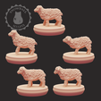 lambs_clay.png Sheep Family