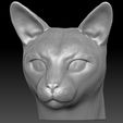 14.jpg Siamese Cat head for 3D printing