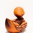0014.jpg Duck Minimalist Skeletal toy