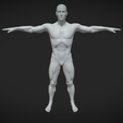 1.png Male Body Base Mesh | T-Pose